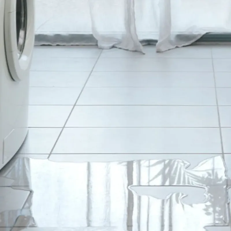Appliance Leak Cleanup in Sparta, WI