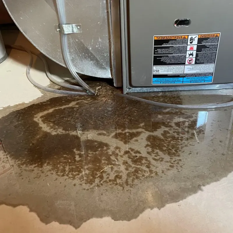 Pipe Burst and Leak Restoration in Sparta, WI